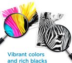HP 67 Black/Tri-color Ink Cartridges for HP Printers | Works with Printer Series: DeskJet 1255, 2700, 4100; ENVY 6000, 6400 | Eligible for Instant Ink | 3YP29AN - Image 4